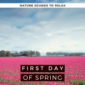 First Day of Spring 2020: Nature Sounds to Relax with Birds, Rain, Blackbirds & Water by Spring Juice