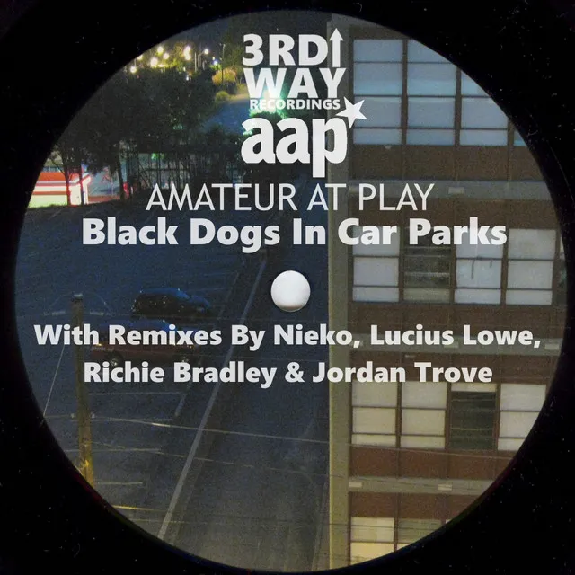 Black Dogs In Car Parks - Jordan Trove's Vibe Dub