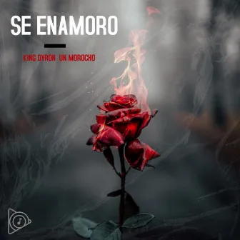 SE ENAMORO by Unknown Artist