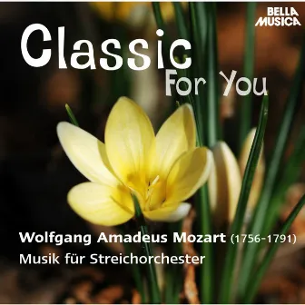 Classic for You: Mozart: Musik für Streichorchester by Slovak Philharmonic Chamber Orchestra