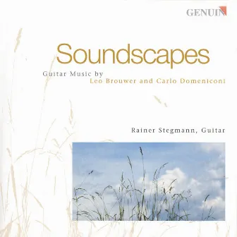 Guitar Recital: Stegmann, Rainer - Brouwer, L. / Domeniconi, C. (Soundscapes) by Rainer Stegmann