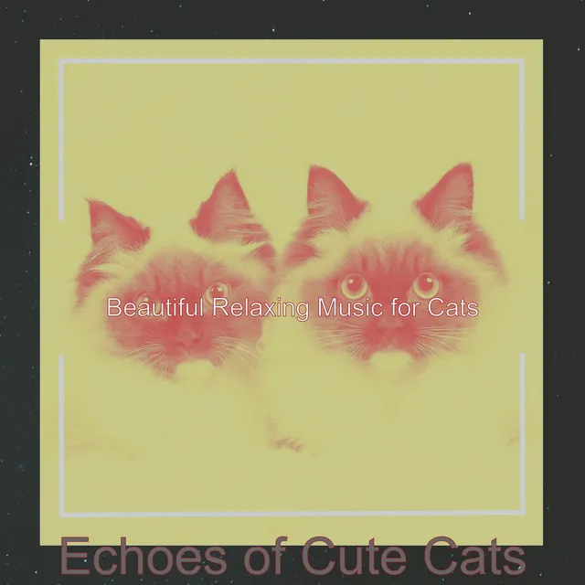 Smooth Moods for Sleeping Cats