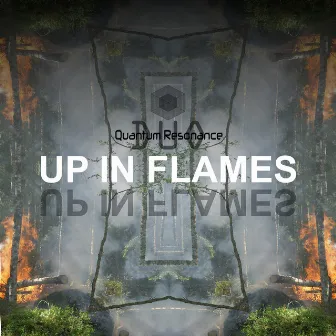 Up in Flames by Quantum Resonance Duo