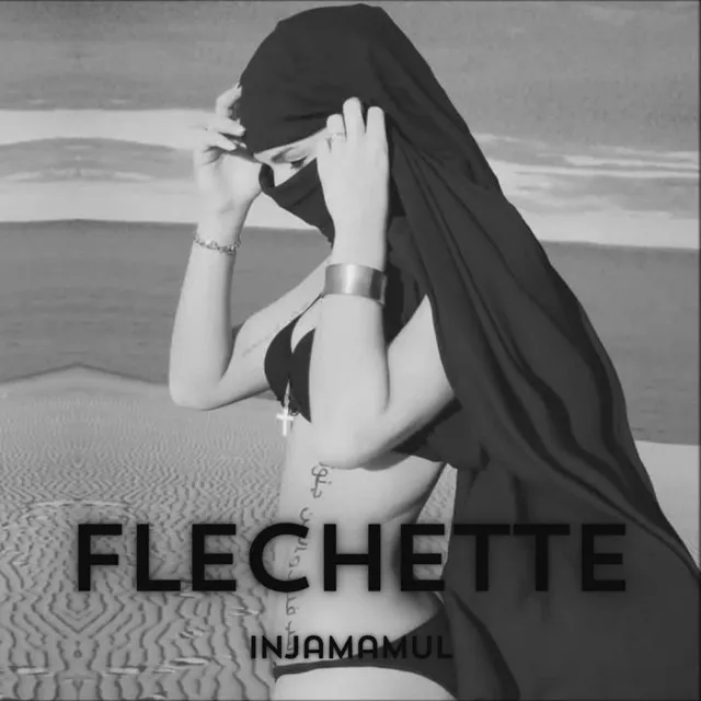 Flechette