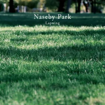 Naseby Park by Lapwing