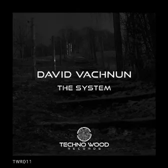 The System by David Vachnun