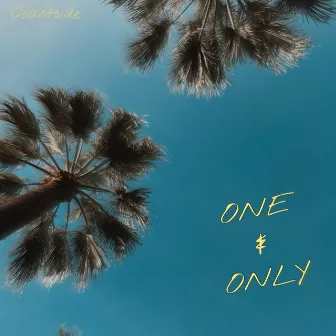 One & Only by Coastside