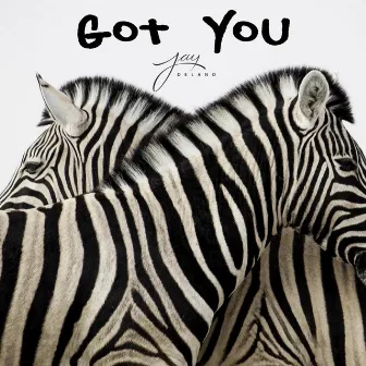 Got You by Jay Delano