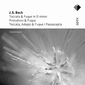 Bach: Toccata and Fugue in D Minor, Prelude and Fugue, Toccata, Adagio and Fugue & Passacaglia by Herbert Tachezi