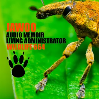 Audio Memoir & Living Administrator by Jawoo