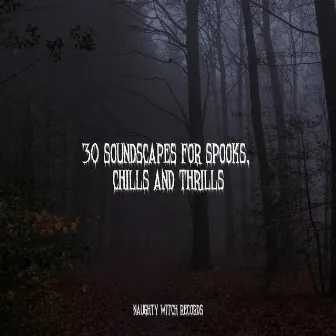 30 Soundscapes for Spooks, Chills and Thrills by Halloween Terror Factory