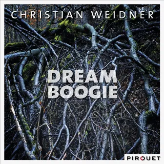 Dream Boogie by Christian Weidner