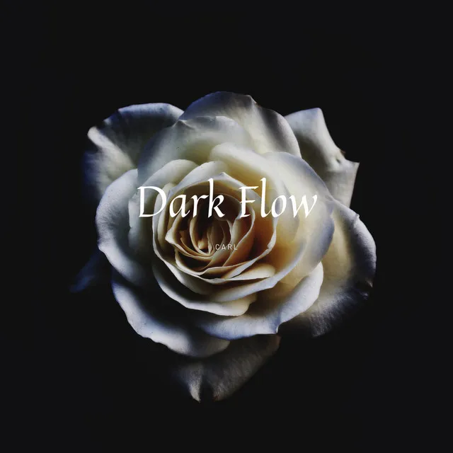 Dark Flow