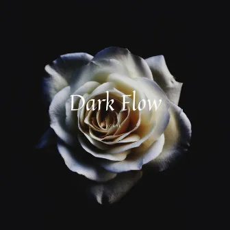 Dark Flow by Carl