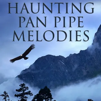 Haunting Pan Pipe Melodies by Free The Spirit