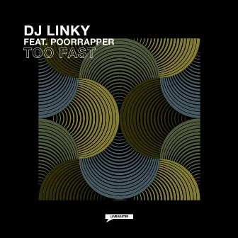 Too Fast by DJ Linky