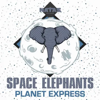 Planet Express by Space Elephants