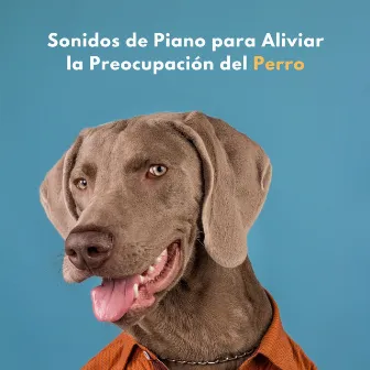 Sonidos De Piano Para Aliviar La Preocupación Del Perro by Música de perros tranquilo