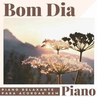 Bom Dia, Piano: Música de Piano Relaxante para Acordar Bem by Matilde Acordar