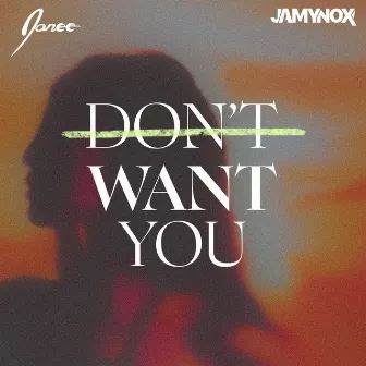 Don't Want You by Janee