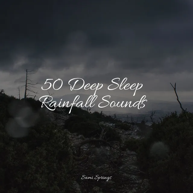 50 Loopable Rain Sounds for Sleep