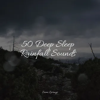 50 Loopable Rain Sounds for Sleep by Unknown Artist