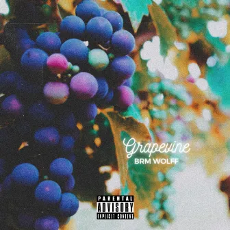 Grapevine by BRM WOLFF