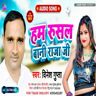 Ham Rusal Bani Raja Ji (Bhojpuri) by Dinesh Gupta