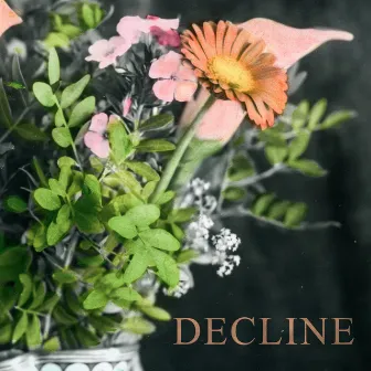 Decline by Pish