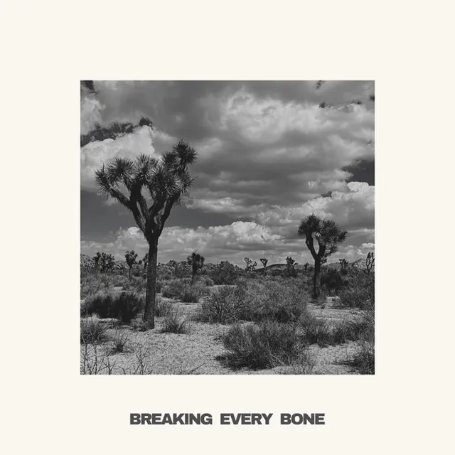 Breaking Every Bone