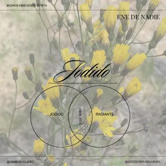 Jodido by Ene de Nadie