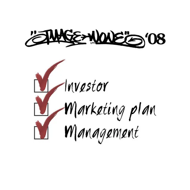 Investor, marketing plan, or management