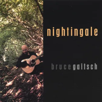 Nightingale by Bruce Gaitsch