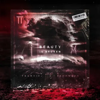 Beauty is Broken by Trantic