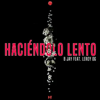 Haciéndolo Lento by B Jay