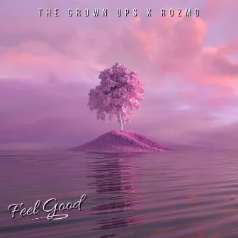 Feel Good by The Grown Ups