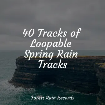 40 Tracks of Loopable Spring Rain Tracks by Water Spa