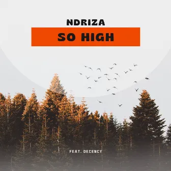 So High by Ndriza