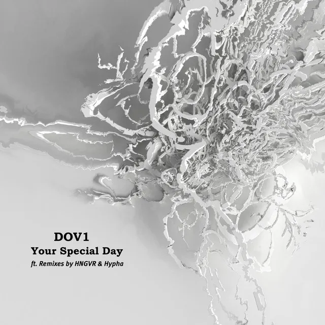 Your Special Day - HNGVR Remix