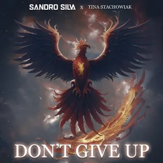 Don't Give Up by Tina Stachowiak