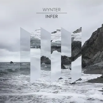 Infer by Josh Wynter