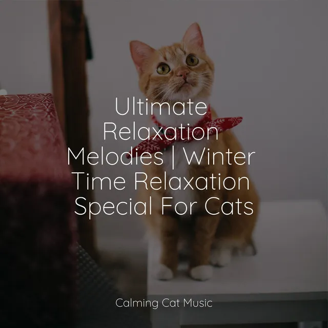 Ultimate Relaxation Melodies | Winter Time Relaxation Special For Cats