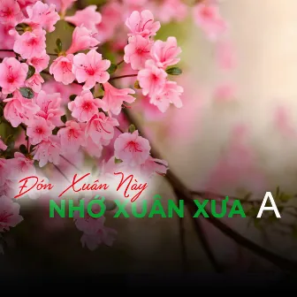 Đón xuân này nhớ xuân xưa A by Lệ Hằng