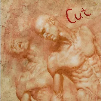 Cut by Cut