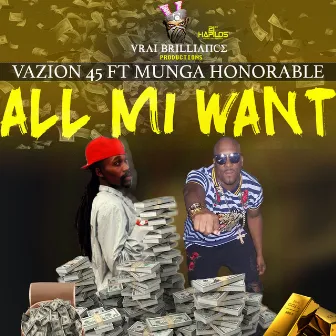 All Mi Want by Vazion 45