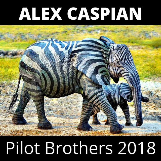 Pilot Brothers 2018