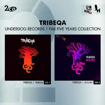 Fab Five Years (Double Album) by Tribeqa