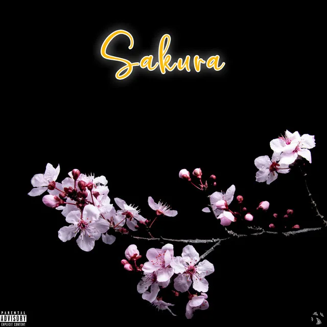 Sakura