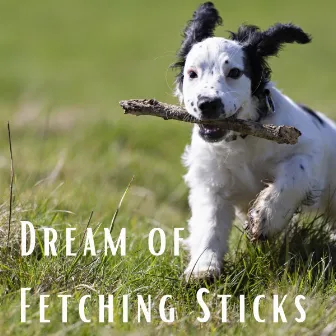 Dream of Fetching Sticks by Dog Radio 1