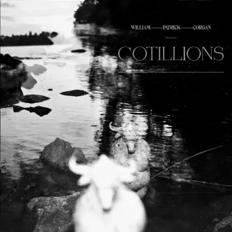 Cotillions by Billy Corgan